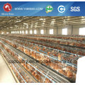 Sistema Silver Star Automatic Layer Chicken Cage